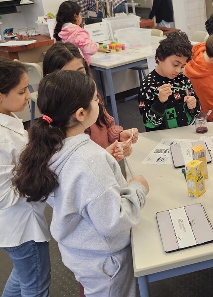 056d0a4c-4e1a-42a4-99cf-10c0b6f5aba7