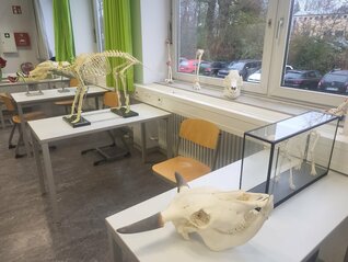 9545ea06-1db5-4f22-afff-dc6ccbb1a9eb