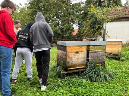 PHOTO-2025-09-26-15-31-30-229C985A-F553-4A36-A4C0-BB88E5E09F4E