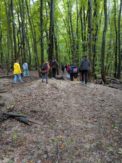 6432a7dd-060d-43c1-aacb-476c4a062880