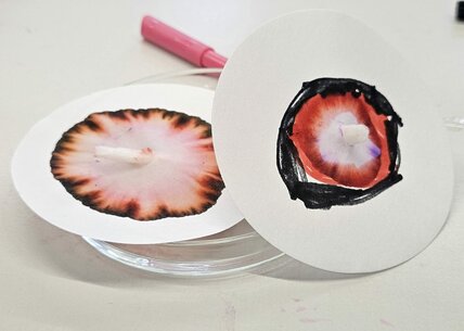 ac90d5c9-c7b3-4183-9bf5-e114d21721ea