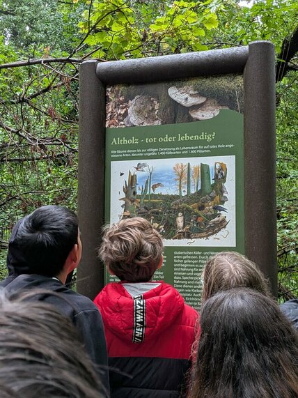 86458715-bf22-45c8-90f3-7a39a2ca9f33